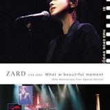 ZARD LIVE 2004